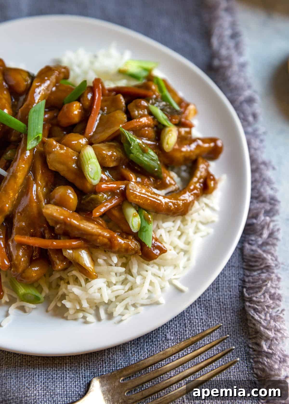 Plated serving of Korean pork stir fry over white rice, garnished with green onions.