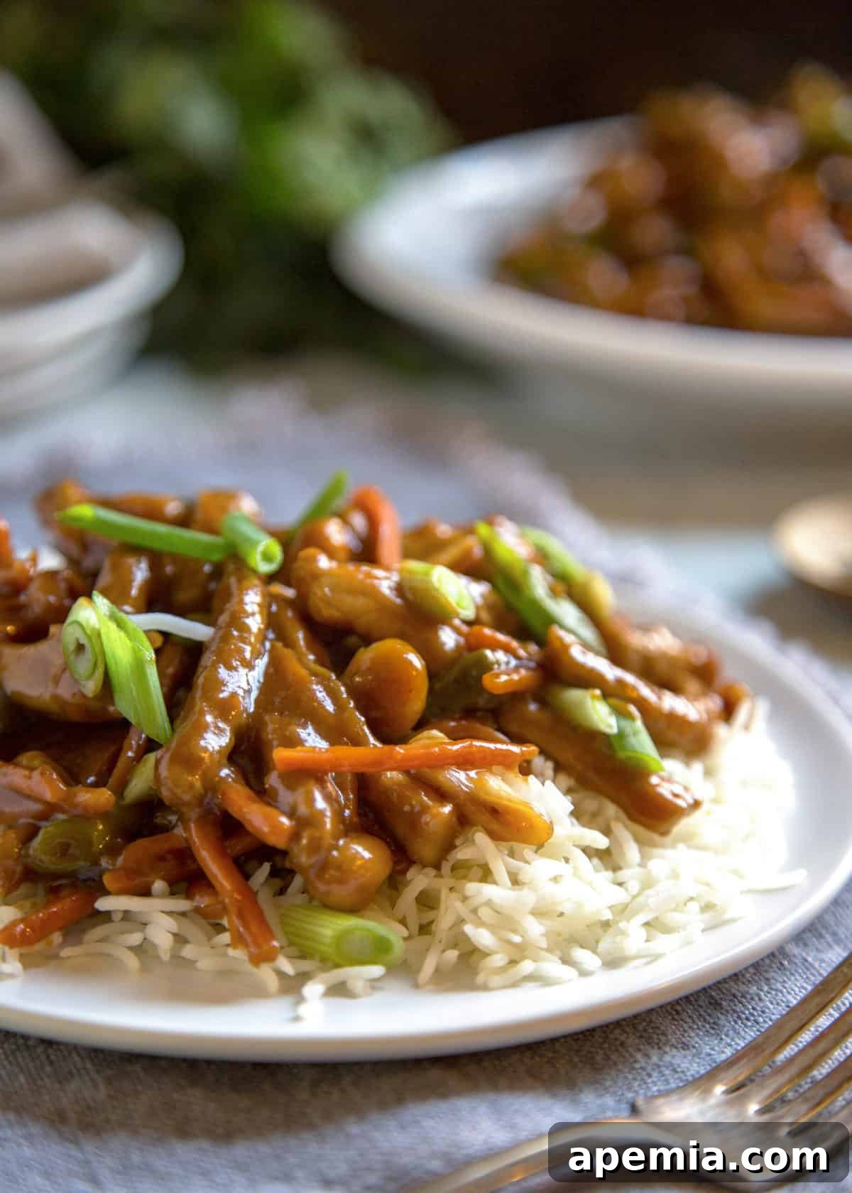 Plated serving of spicy Jeyuk Bokkeum, garnished with green onions and peanuts, ready to eat.