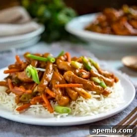 Close up: plate of Jeyuk Bokkeum Korean stir fry