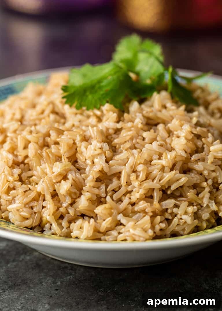 A bowl of fluffy brown basmati rice, showcasing its wholesome, nutty appearance and ideal texture after cooking.