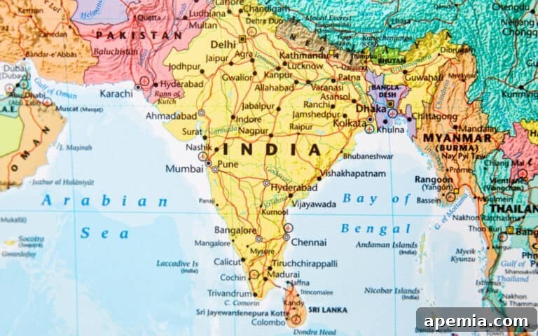 A map highlighting the geographical region of India, a primary source of basmati rice.
