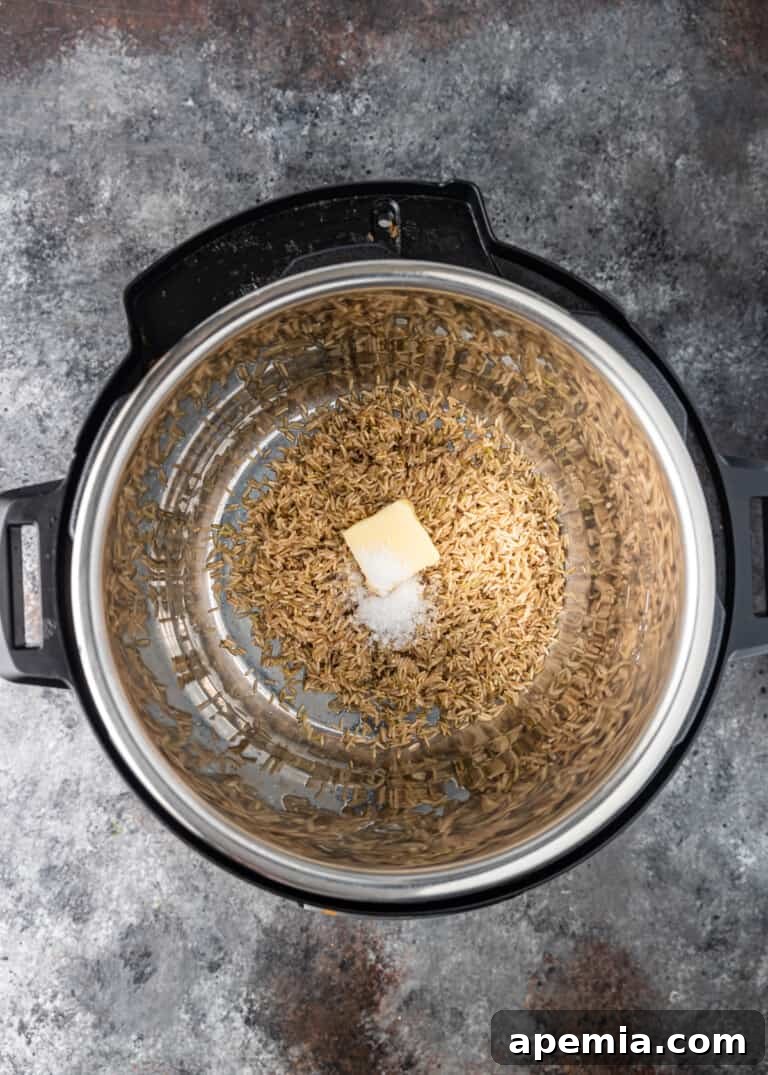 Overhead view of basmati rice, water, and butter (or ghee) added to the Instant Pot's inner pot, ready for cooking.