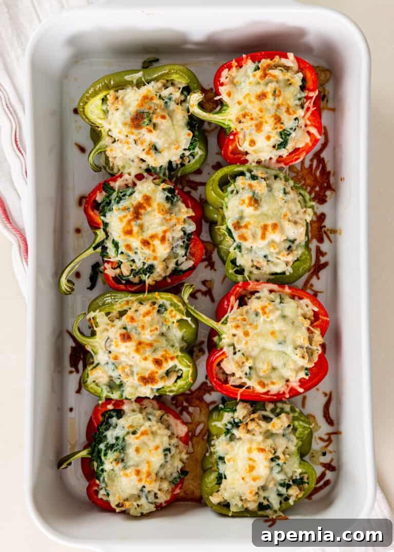 Overhead view of vibrant red and green stuffed bell peppers nestled in a white baking dish, ready for final baking.