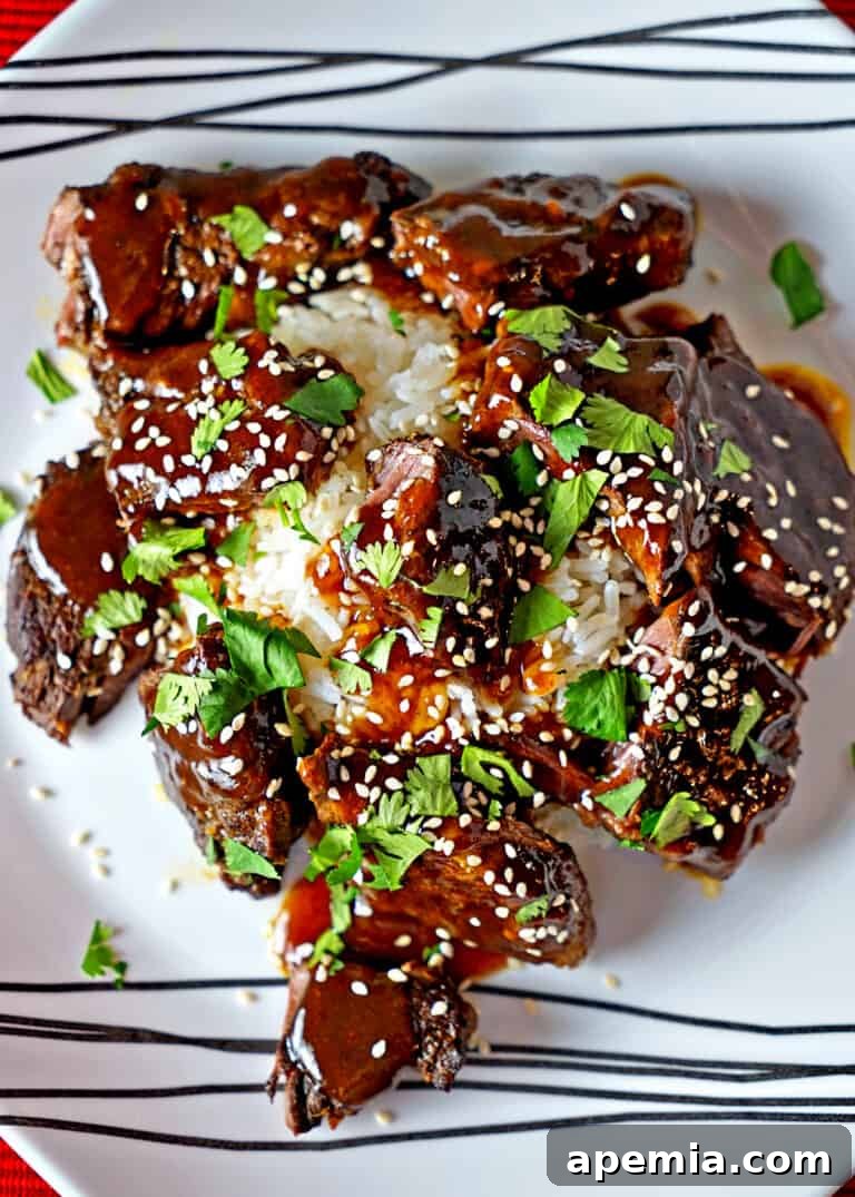 overhead: sticky Asian short ribs garnished with sesame seeds and cilantro over white rice