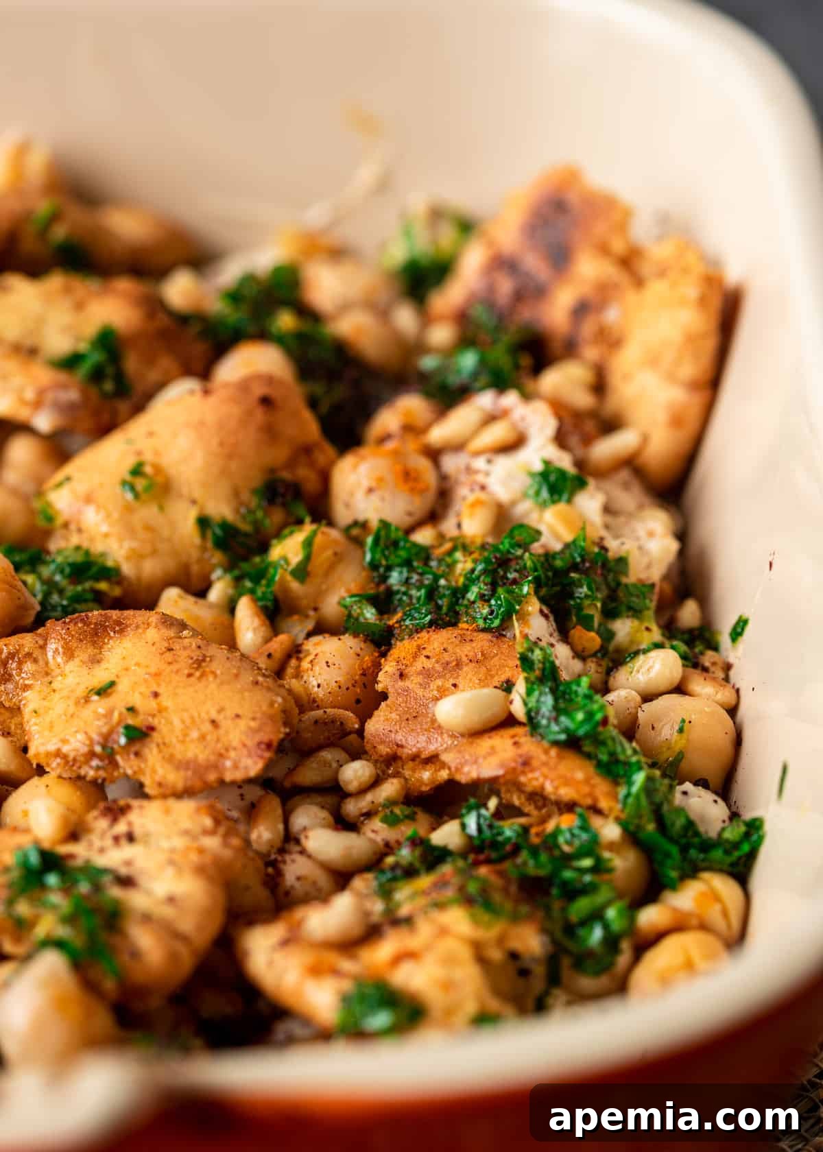 closeup: dip of crispy pita, hummus, chickpeas, herbs, yogurt and pine nuts