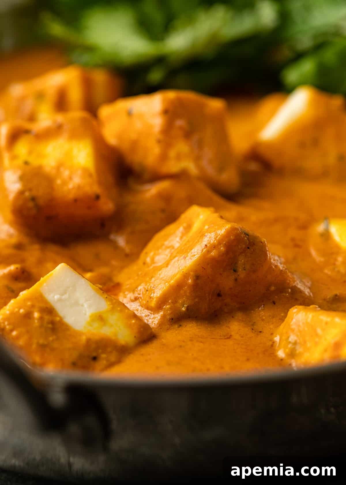 Close-up of tender paneer cheese cubes nestled in the rich, vibrant gravy of Paneer Butter Masala.