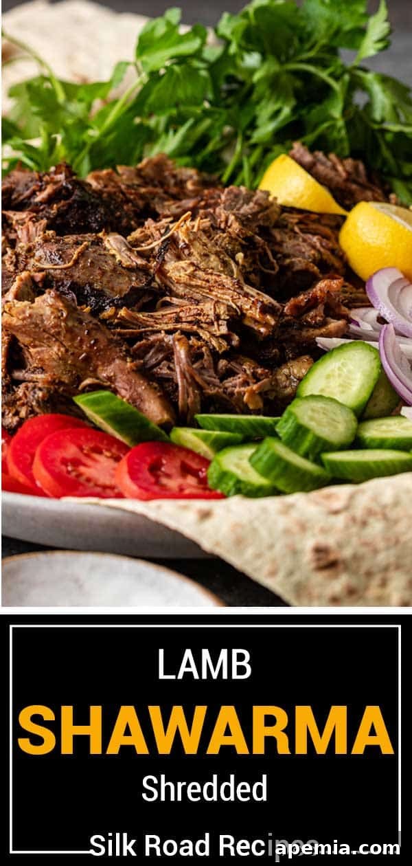 A beautifully presented, vertically oriented image of shredded lamb shawarma in pita bread with all the fresh toppings, ready to be enjoyed.