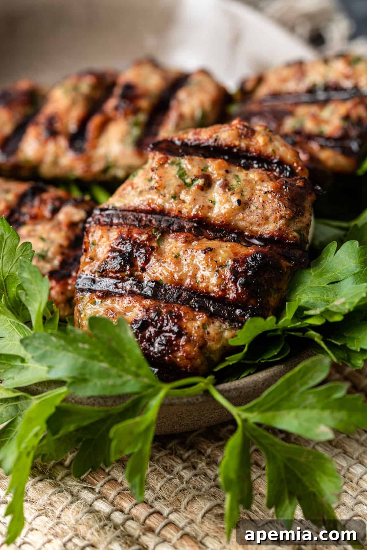 extreme closeup: grilled chicken kofta recipe on plate with parsley