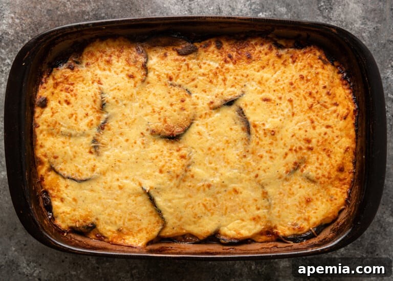 A baked moussaka fresh from the oven, golden and bubbling in a casserole pan.