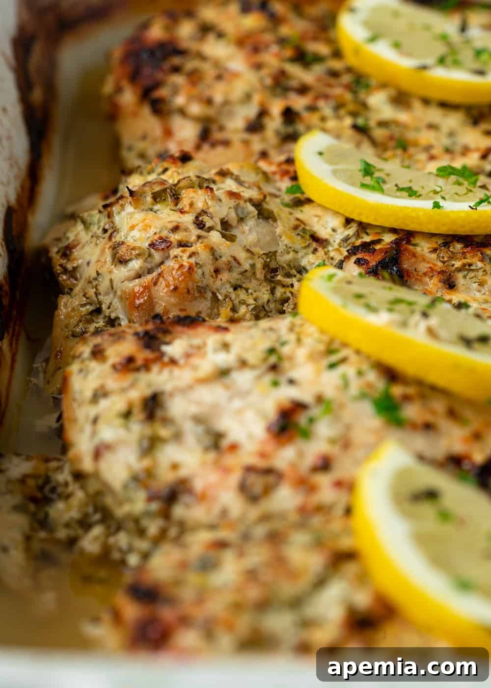 Closeup of beautifully cooked Greek yogurt chicken adorned with fresh lemon slices and herbs, resting in a baking pan.