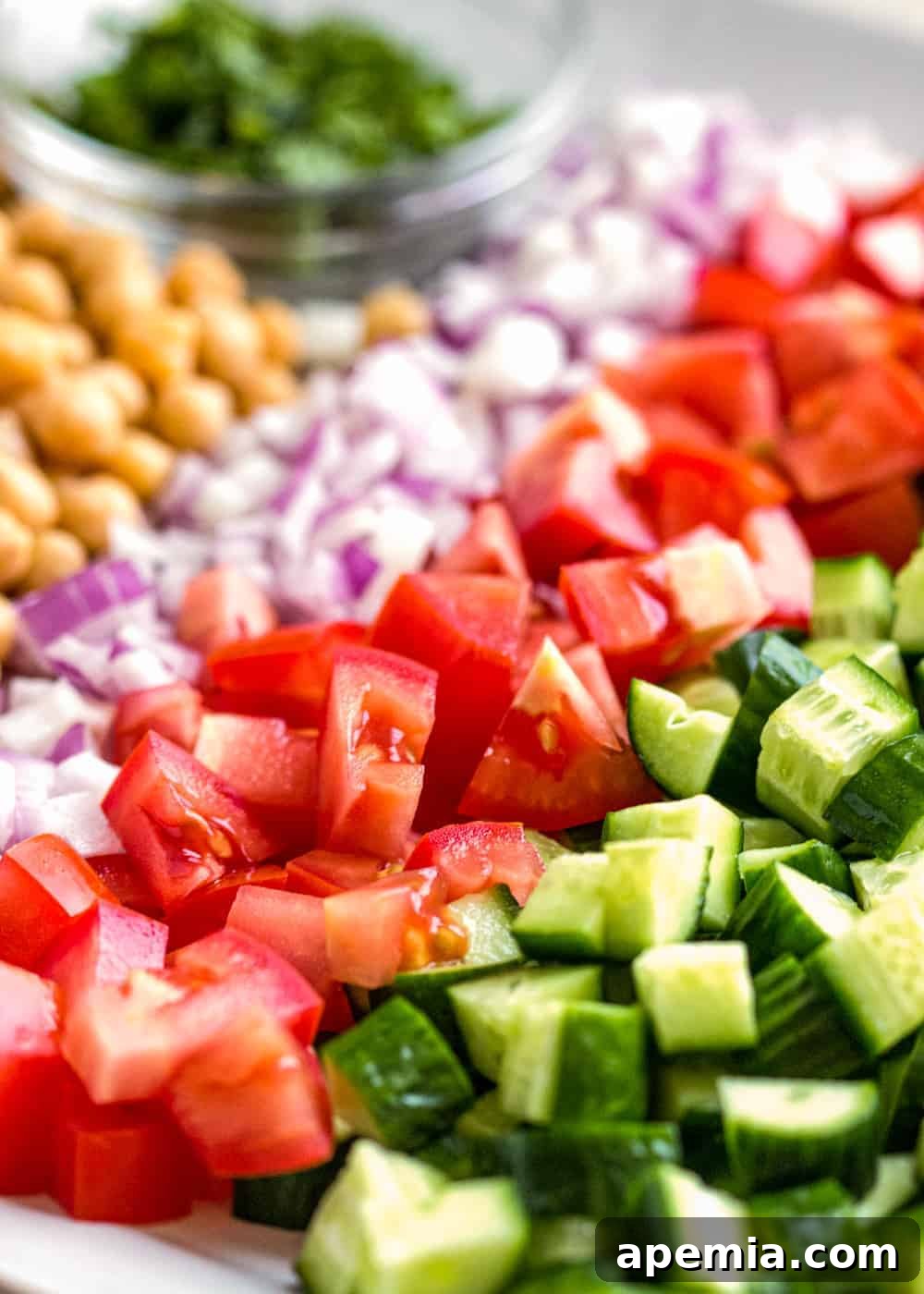 rows of chopped cucumber, tomato, red onion, and chickpeas with a bowl of bowl of fresh mint in the background