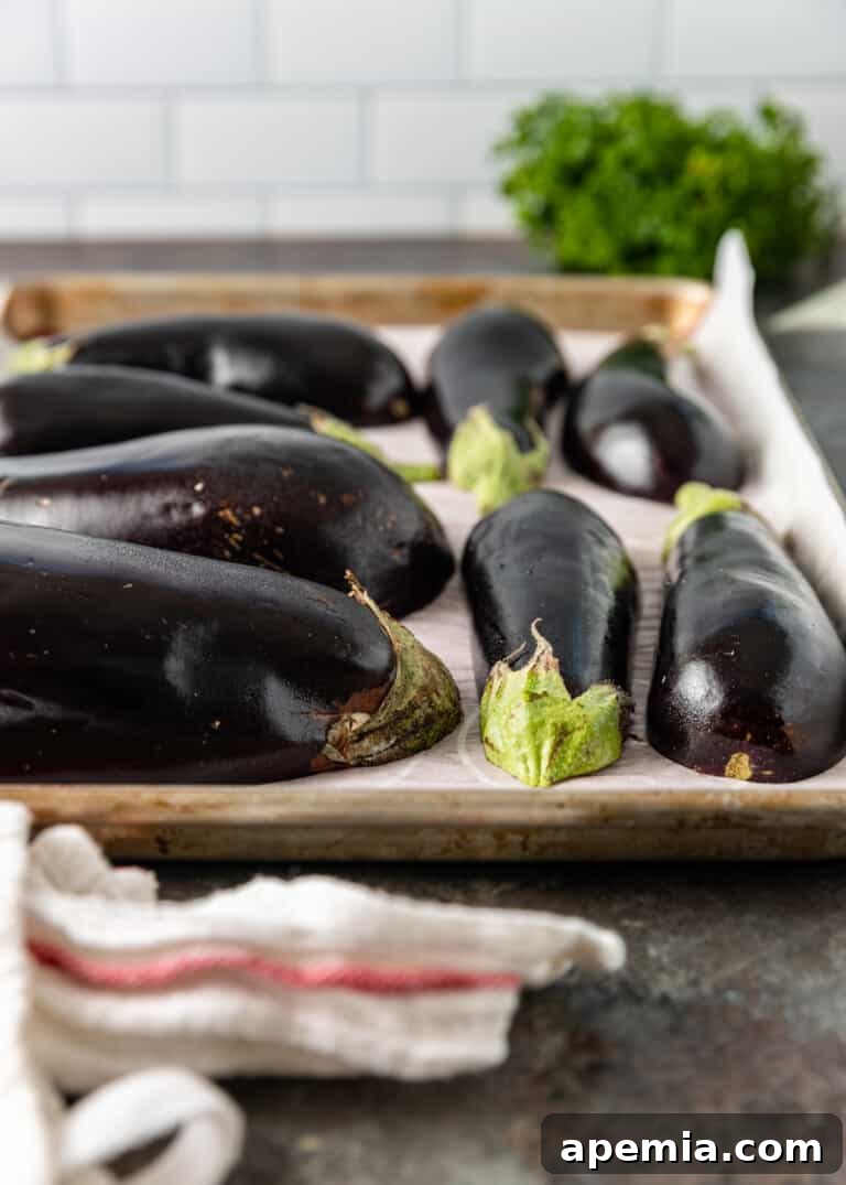 Grecian Smoked Eggplant Puree 4 Fresh eggplants ready for roasting for Melitzanosalata.