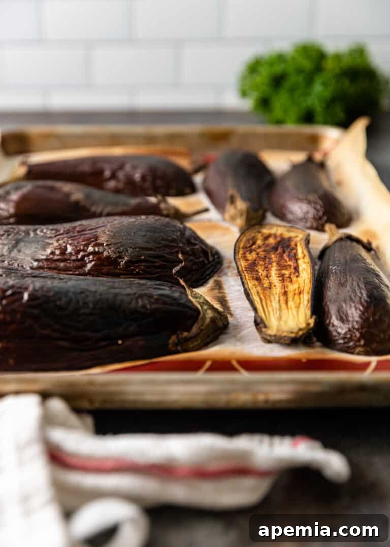 Grecian Smoked Eggplant Puree 5 Roasted eggplants on a baking sheet, ready for making Melitzanosalata.