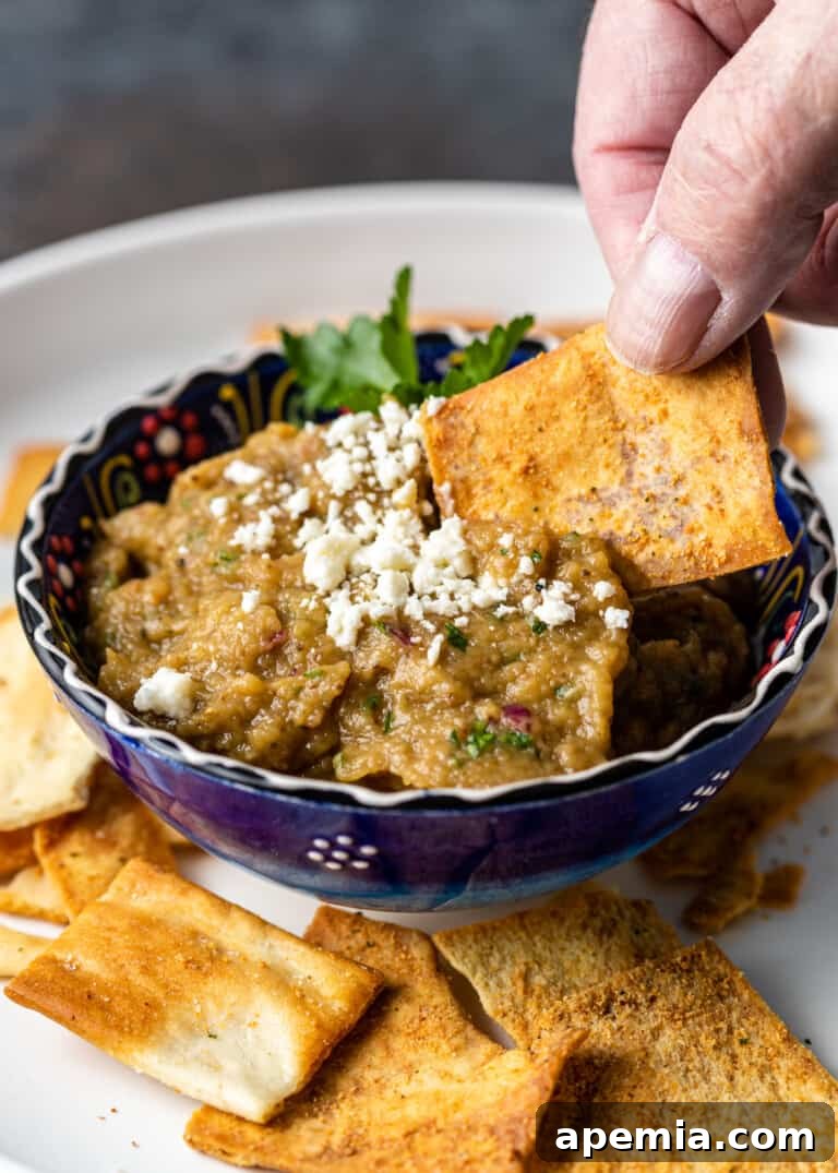 Grecian Smoked Eggplant Puree 9 Dipping a pita chip into creamy Melitzanosalata, a Greek eggplant dip.