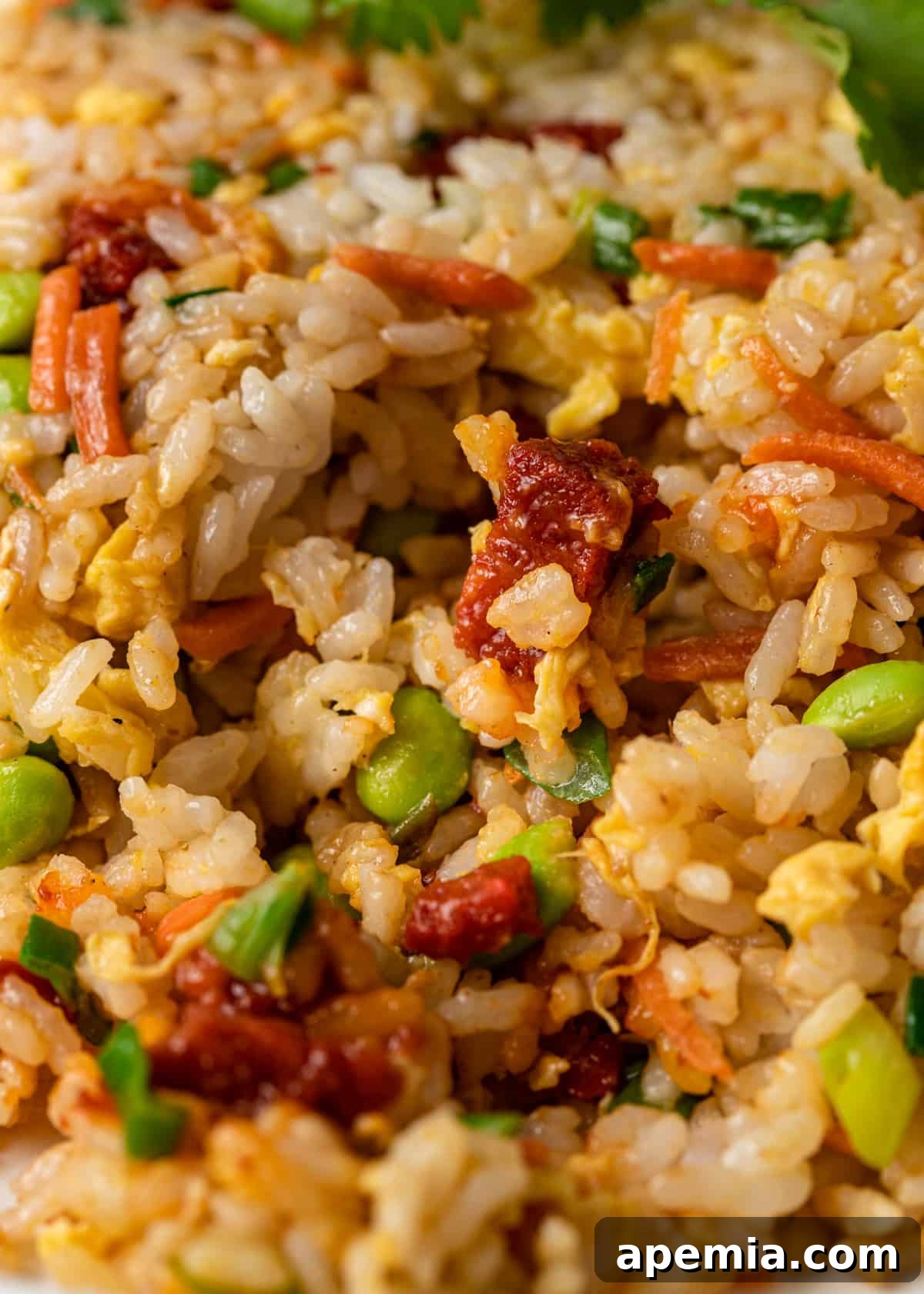 extreme closeup: hibachi fried rice with visible grains of rice, eggs, and vegetables