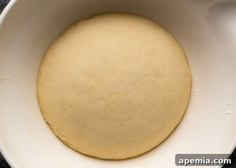 Overhead shot of a significantly risen naan dough ball in a bowl, having doubled in size after proofing.
