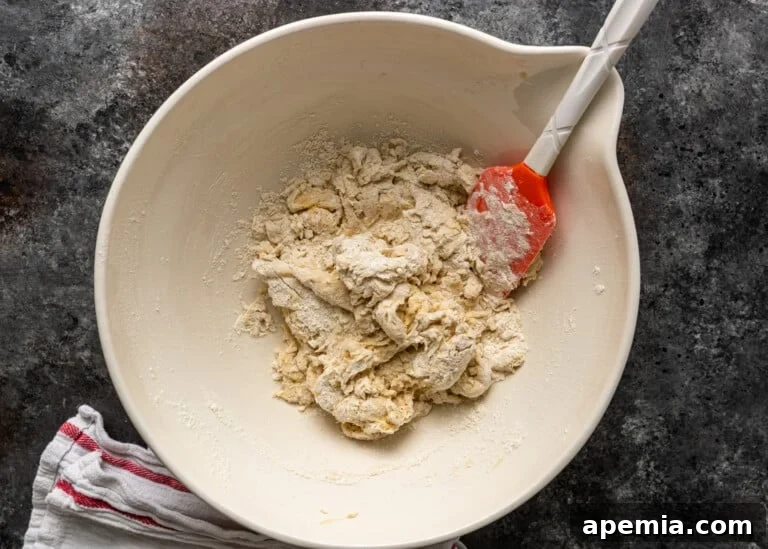 Overhead shot of shaggy naan dough forming in a bowl before kneading.