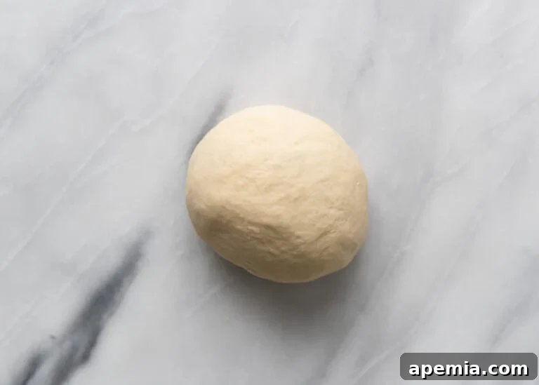 Overhead shot of a smooth, perfectly kneaded naan dough ball, ready for its first rise.