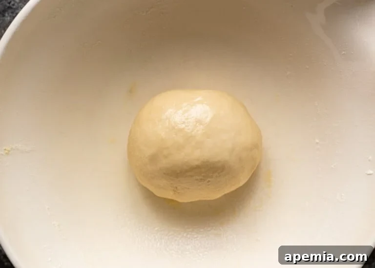 Overhead shot of an oiled kneaded naan dough ball placed in a large bowl, ready for proofing.