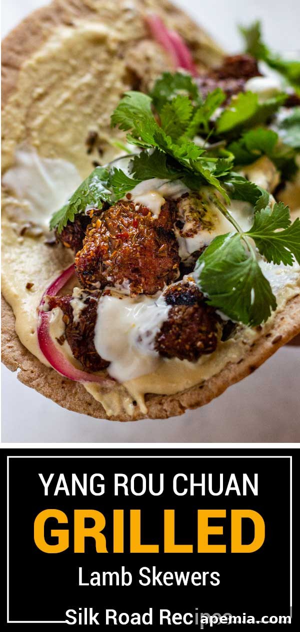 titled image (and shown): yang rou chuan grilled lamb skewers