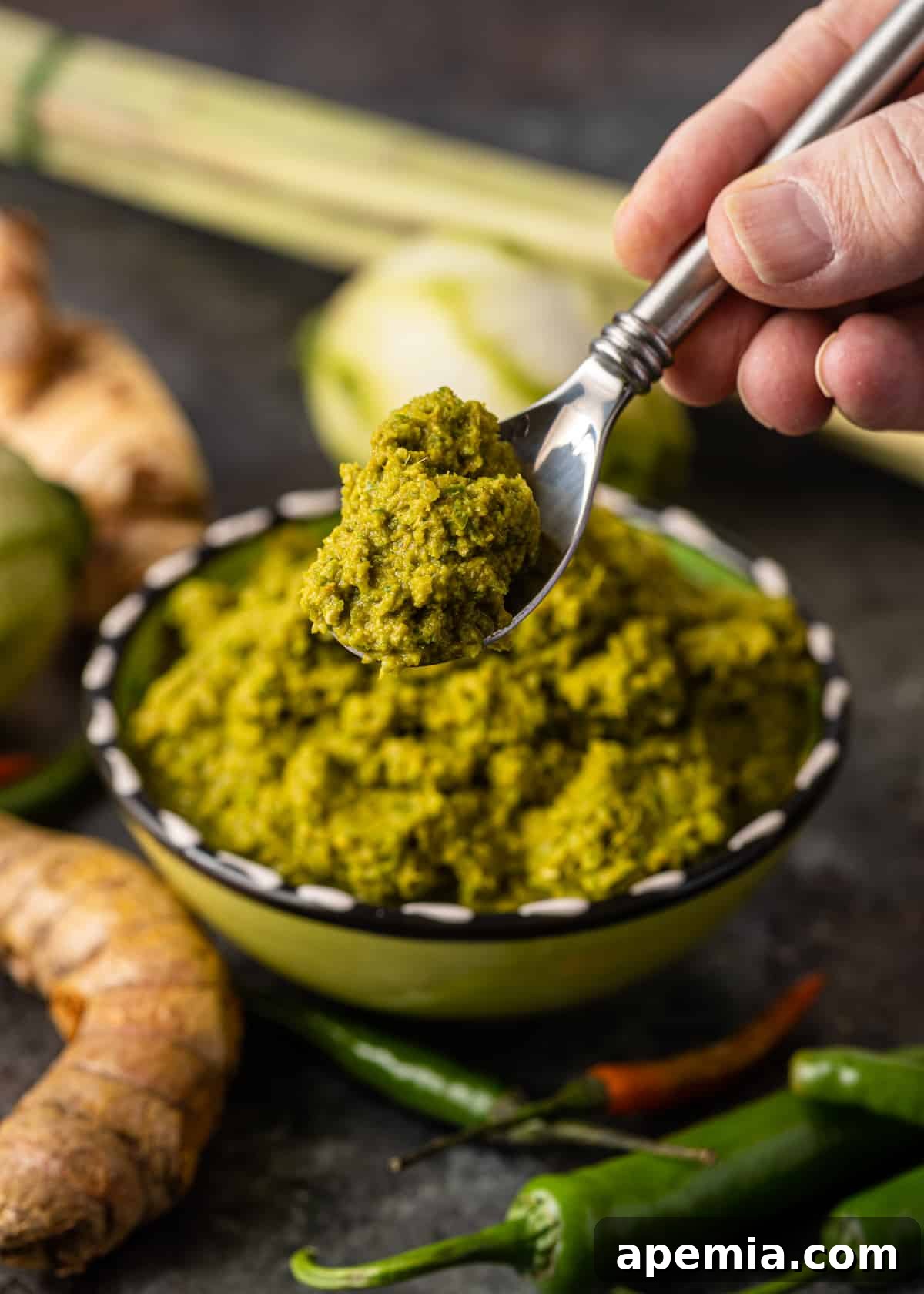 Thai Green Curry Paste on a spoon