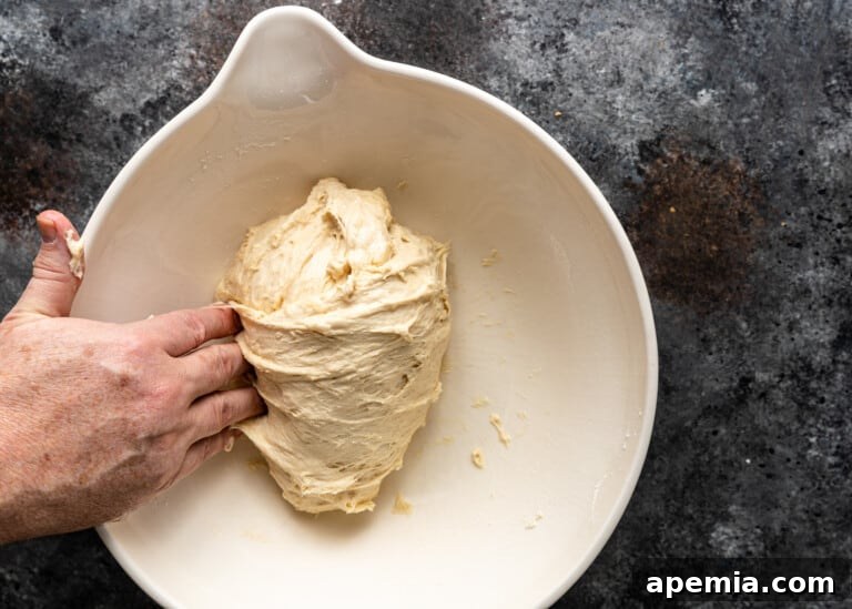 Beloved Turkish Ramadan Pide 14 The dough after four rounds of stretch and fold, showing improved elasticity and structure.