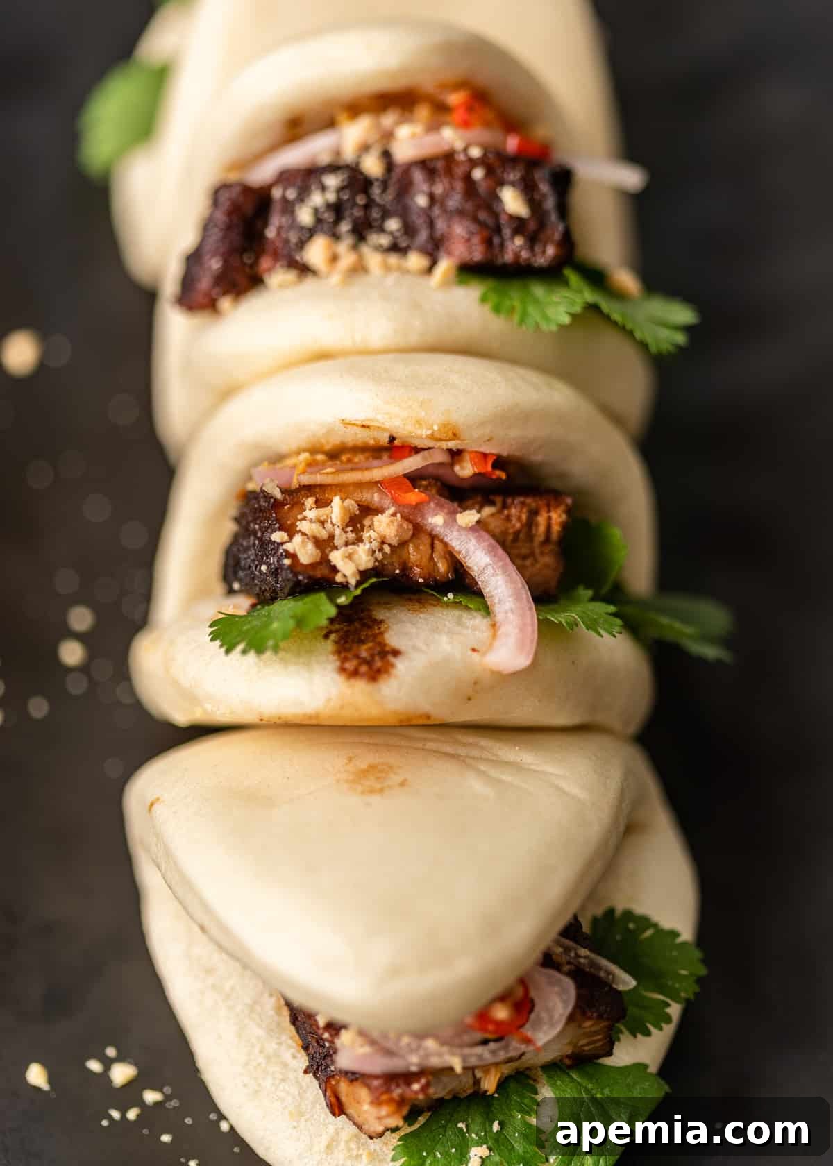 overhead: row of pork belly buns with peanuts and red onion