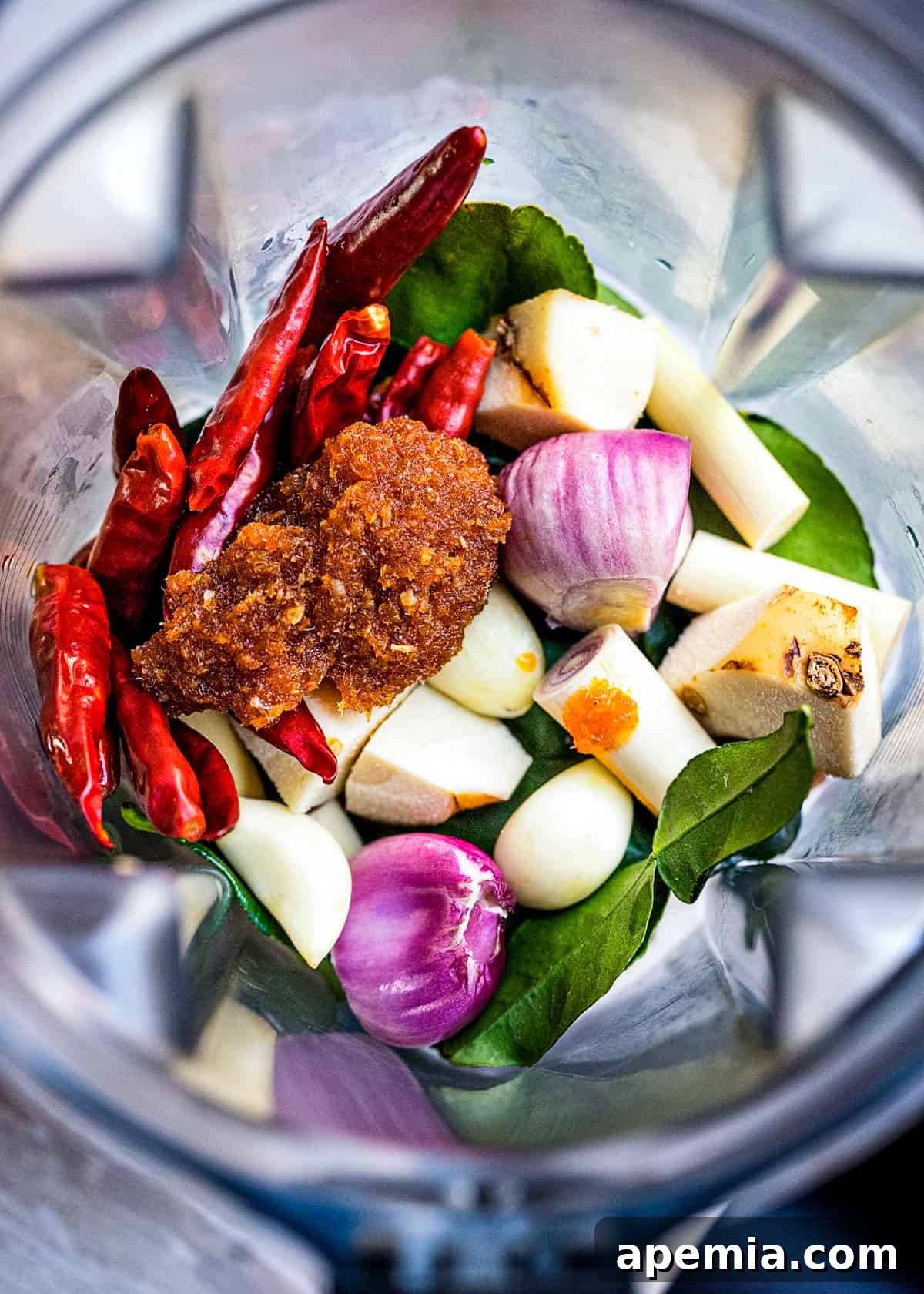 overhead: ingredients for red curry paste laid out in a blender, ready for blending