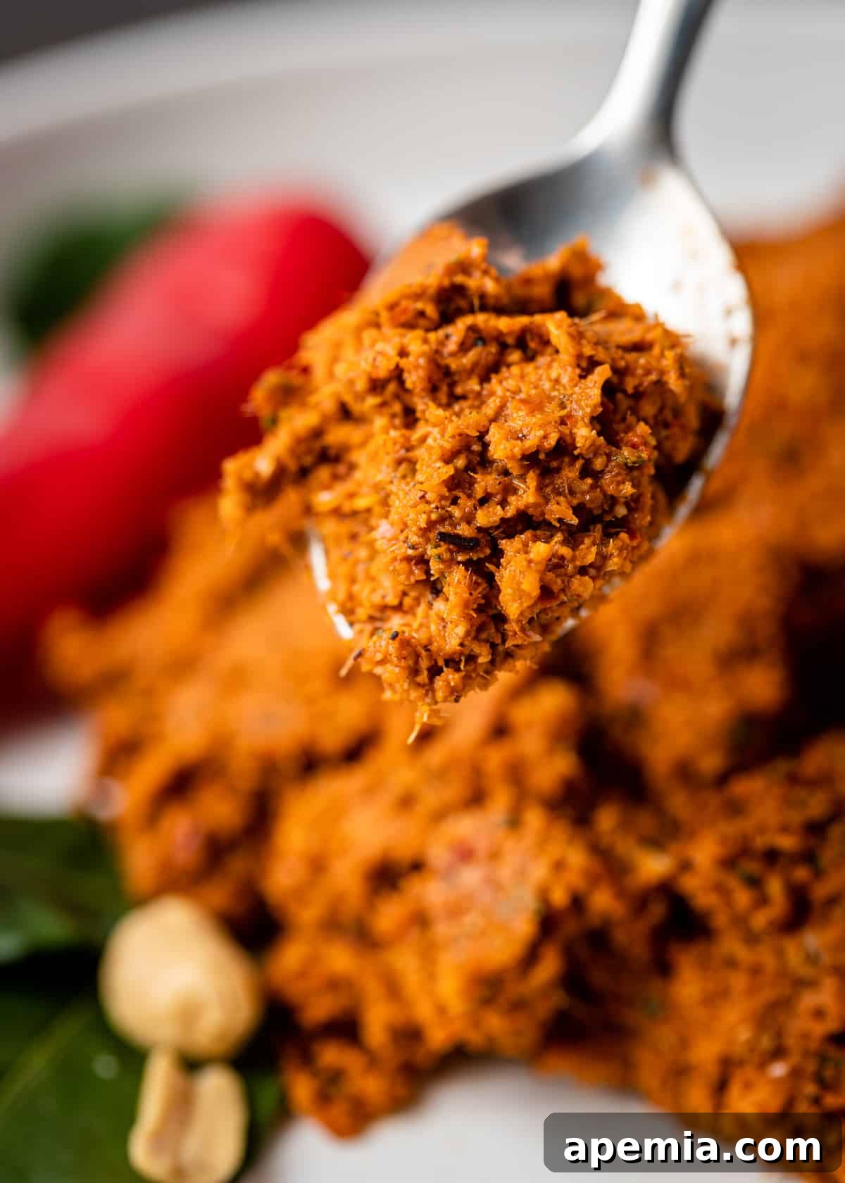 extreme closeup side view: a spoon with a generous amount of panang curry paste