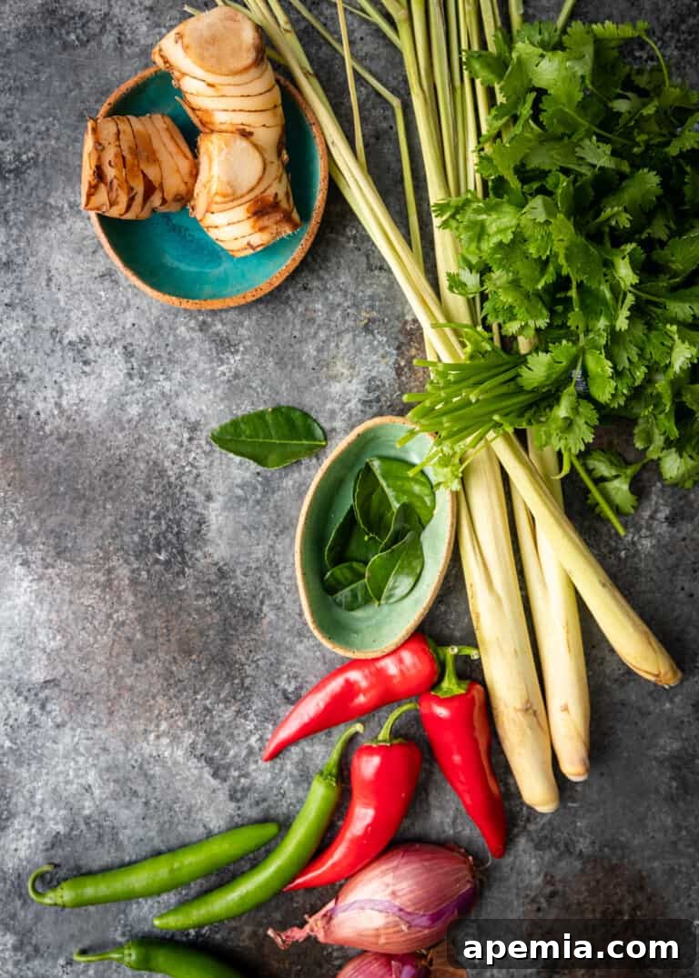 overhead process shot: raw fresh ingredients for panang curry paste arranged on a surface