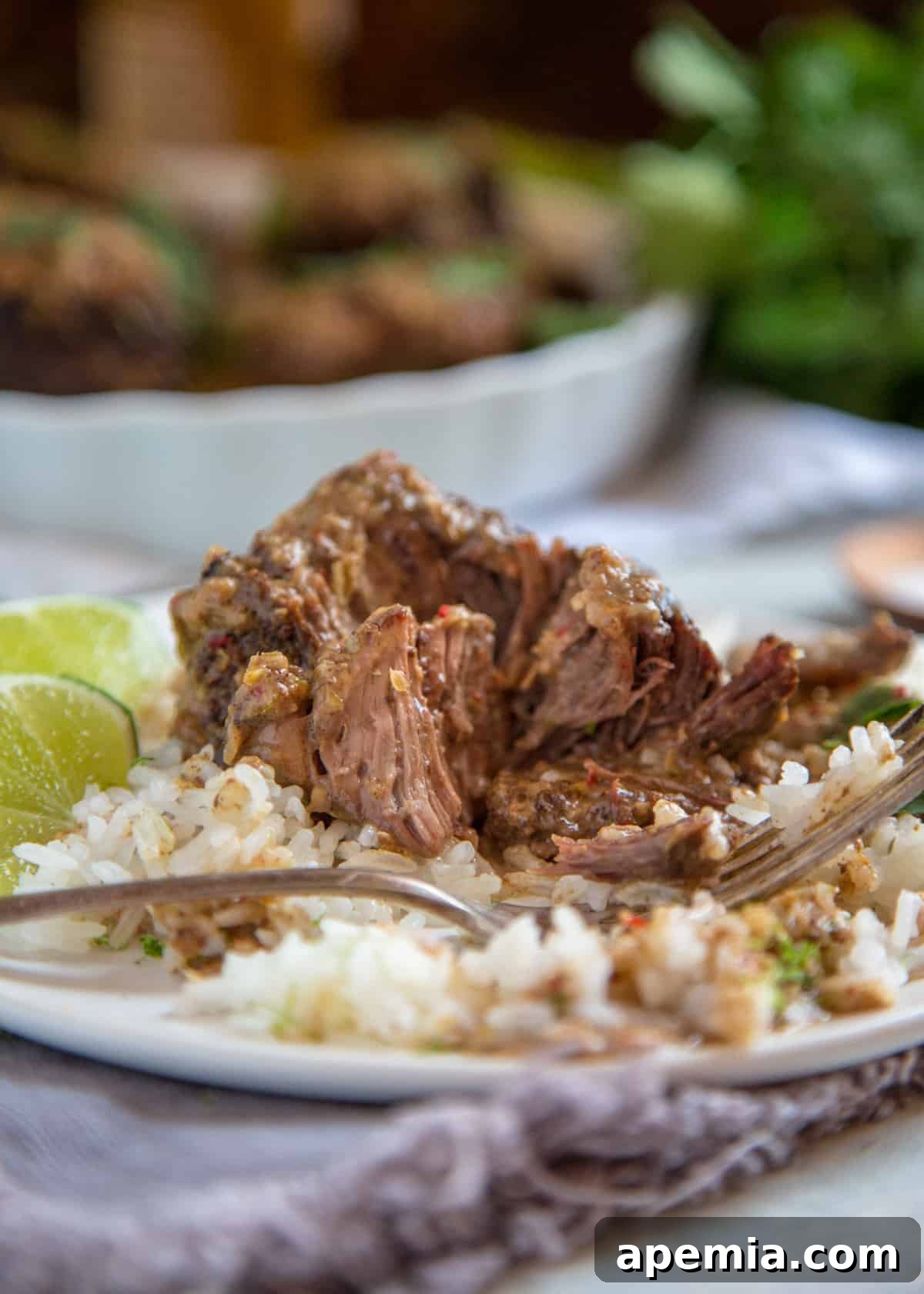 Slow-Cooked Malaysian Beef Short Ribs 9 Malaysian Braised Short Ribs with a fork pulling meat