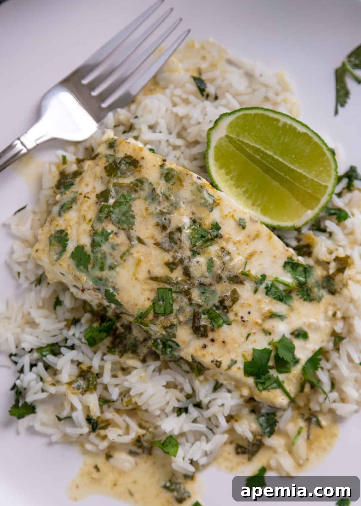Overhead closeup shot of a serving of baked halibut green curry over coconut rice on a white plate, with a fresh lime wedge to the side, showcasing the rich sauce and fluffy rice.