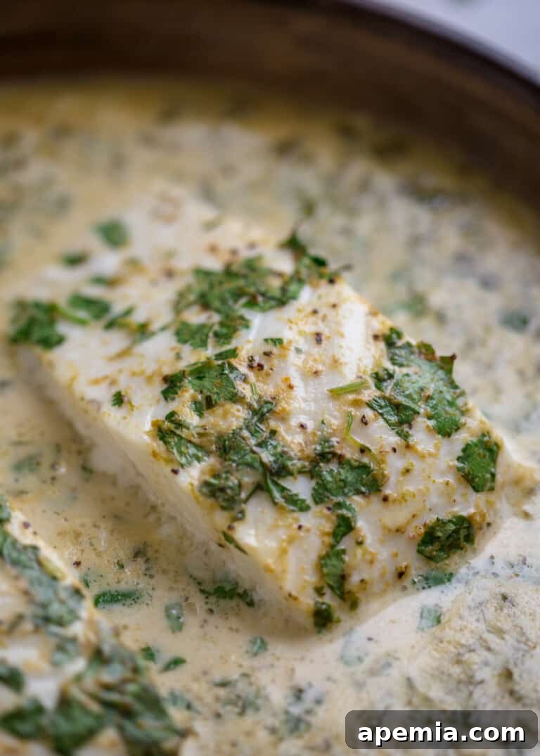 Closeup of halibut fillets simmering in green curry liquid with fresh herbs visible, preparing for baking.