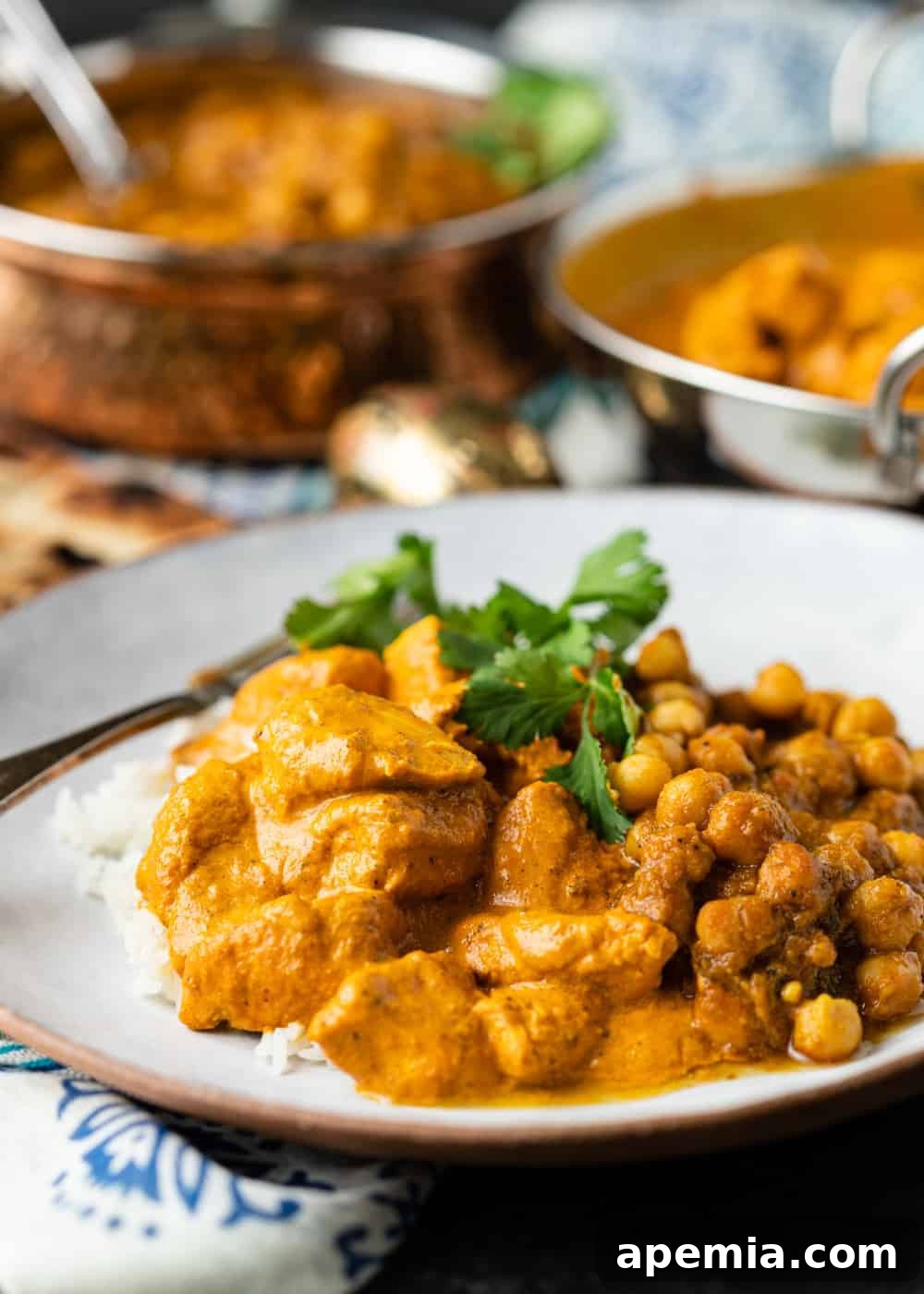 curry chicken on plate over white rice