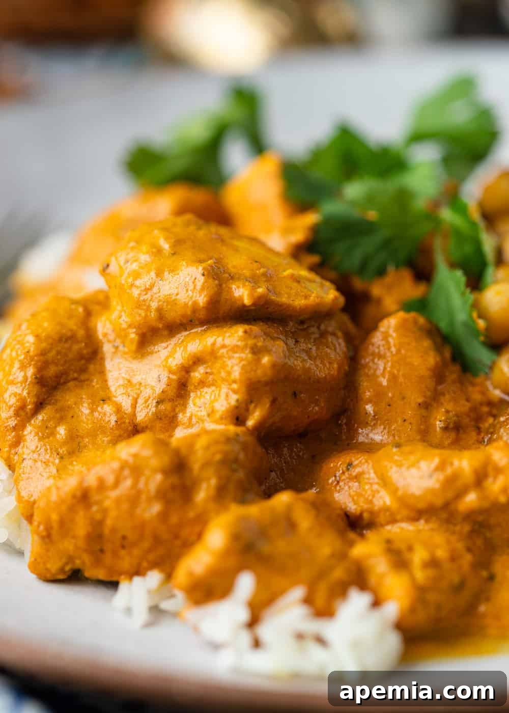 close up of creamy butter chicken on a bed of white rice