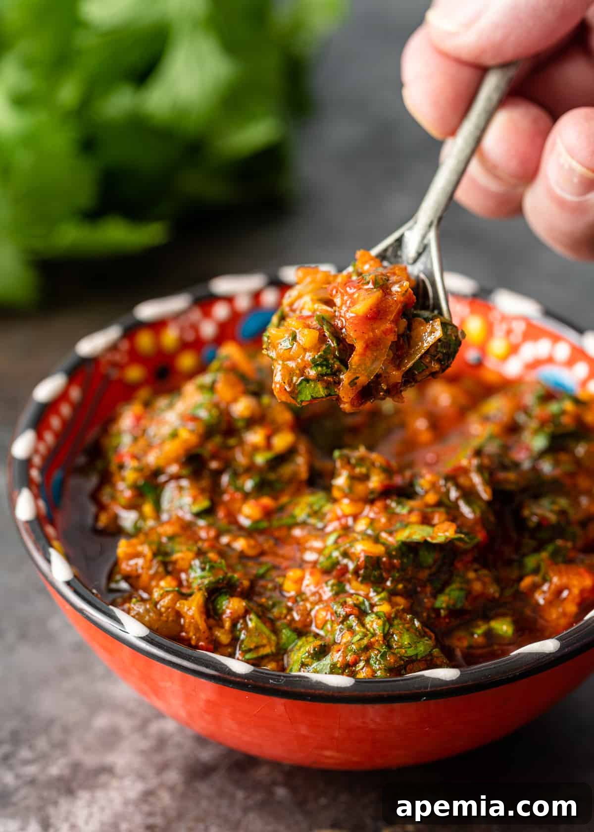 Close-up: a hand lifting a spoonful of rich red chermoula relish, showcasing its vibrant color and texture.