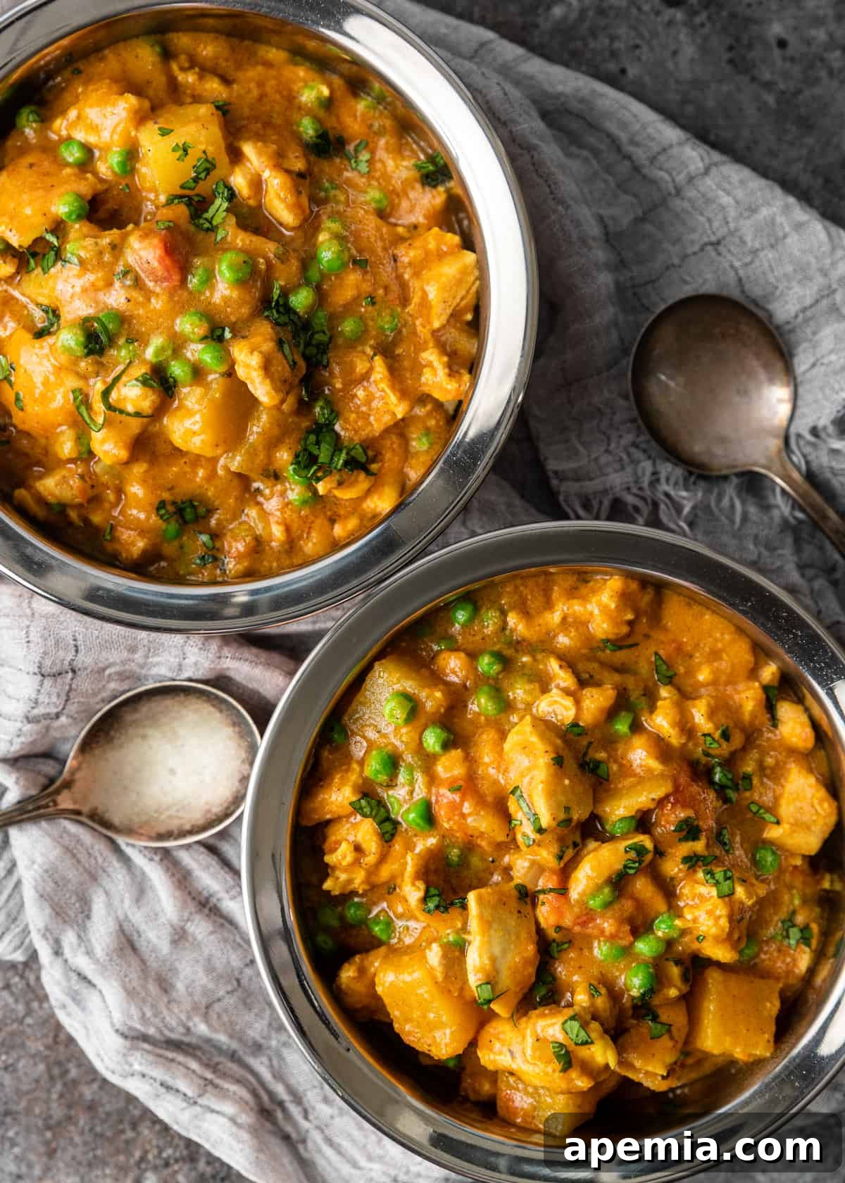 Overhead shot of two finished bowls of coconut chicken curry, garnished and ready to serve, showcasing its appealing presentation.