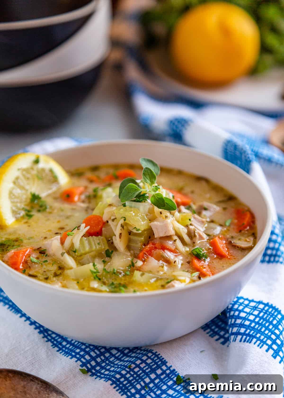 Sunshine Lemon Chicken Orzo Soup 3 side view: bowl of greek orzo soup