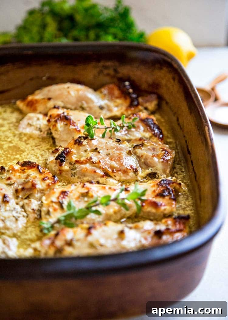 Sunshine Lemon Chicken Orzo Soup 4 closeup: baked greek chicken in baking dish