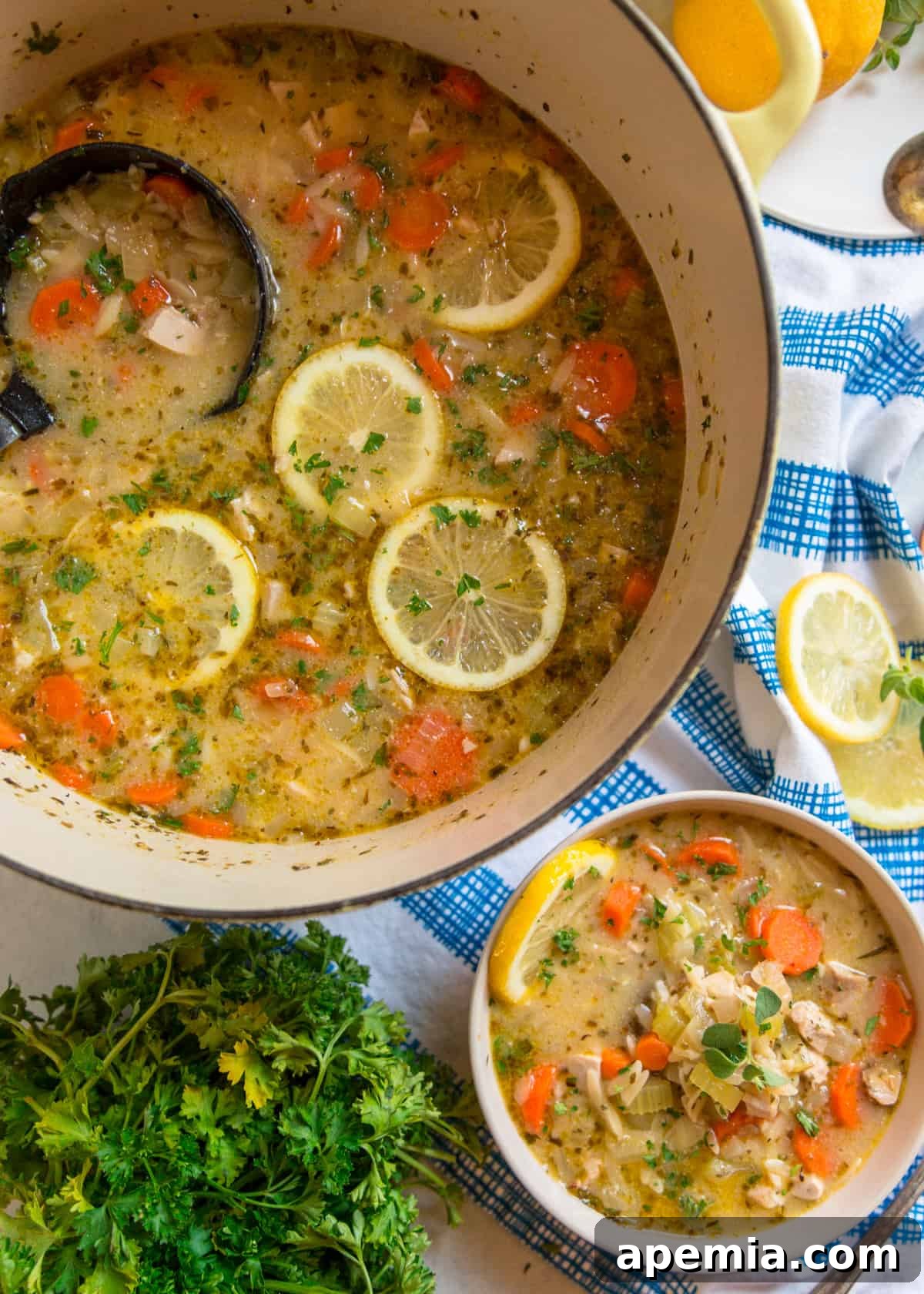 Sunshine Lemon Chicken Orzo Soup 5 overhead: large pot full of lemon orzo soup with a bowl to the side