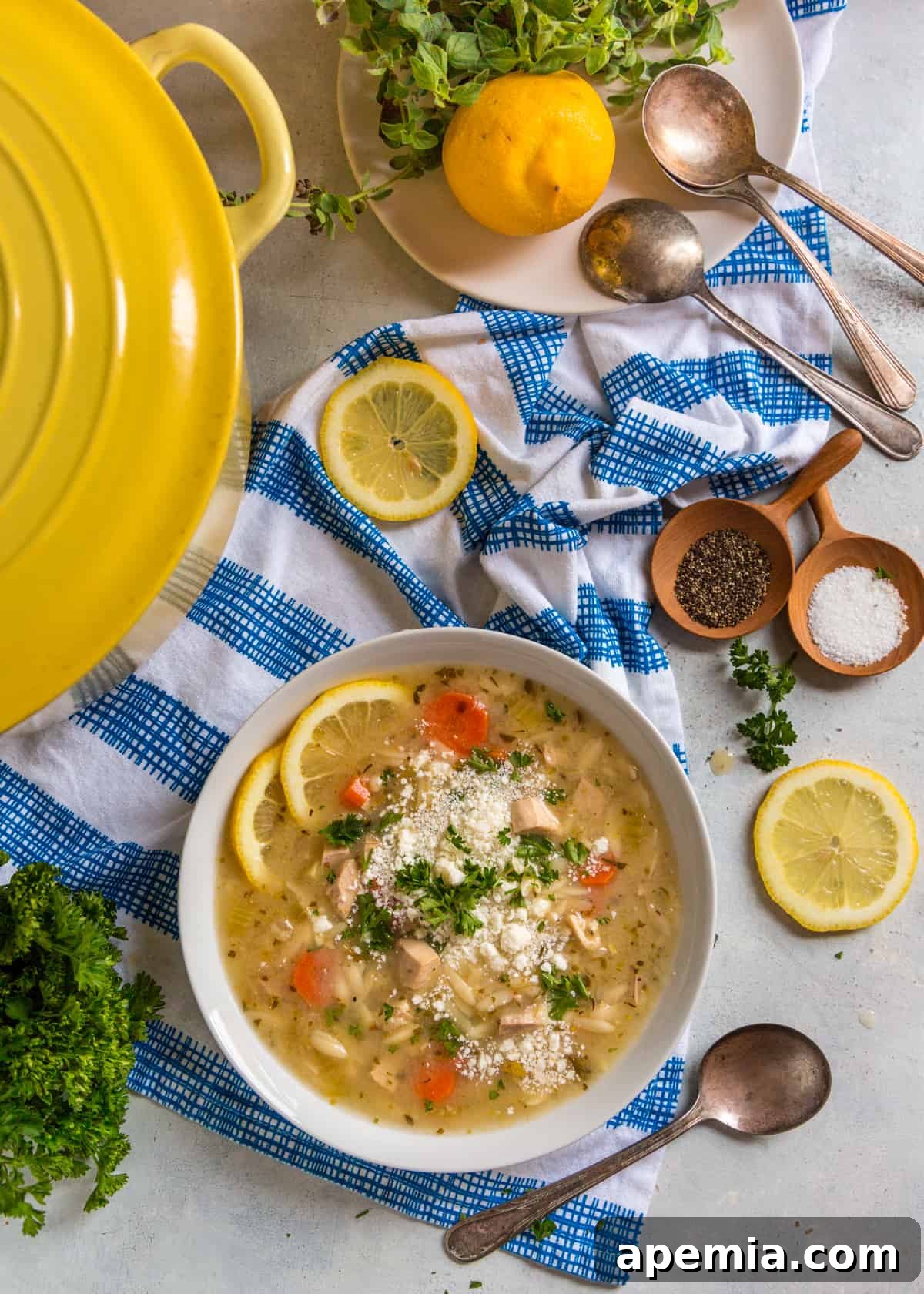 Sunshine Lemon Chicken Orzo Soup 6 overhead: lemon chicken orzo soup in a bowl with lemon slices