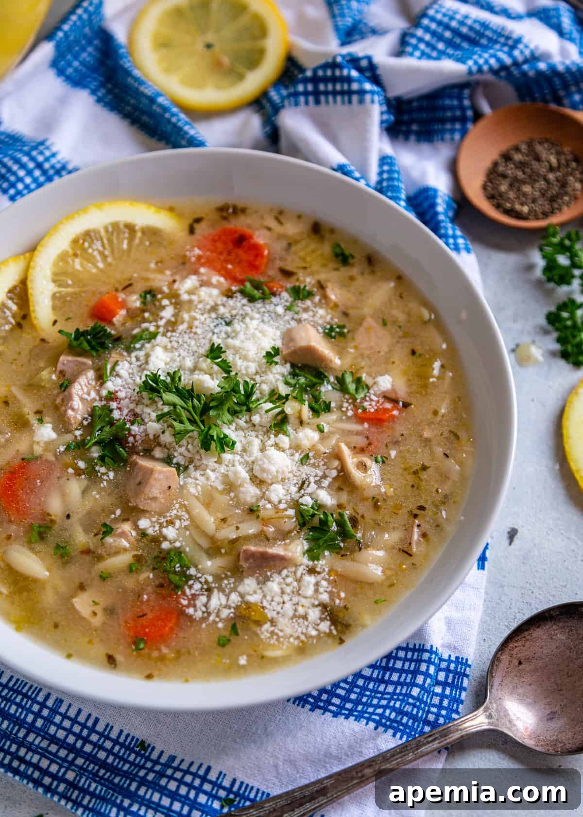 Sunshine Lemon Chicken Orzo Soup 8 overhead: lemon orzo soup in a bowl with chicken and lemon slices