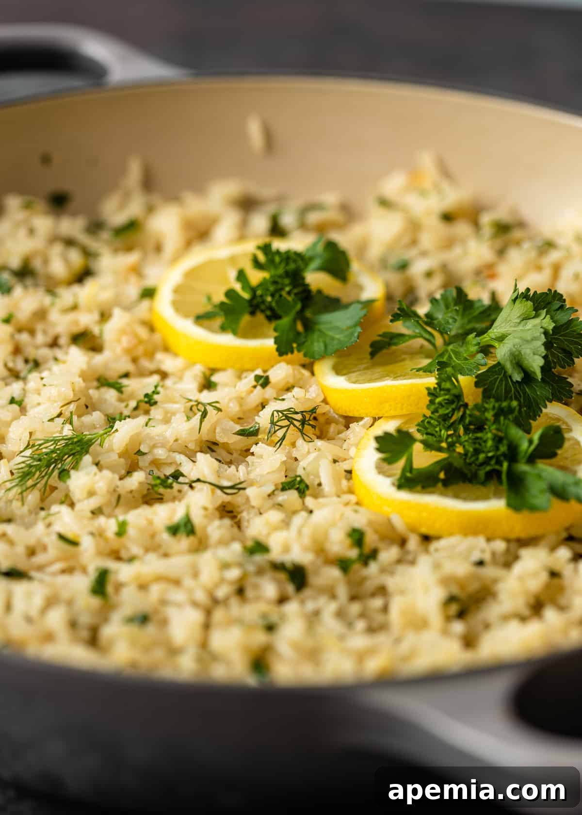 A vibrant close-up of our Greek lemon rice recipe, beautifully garnished with fresh lemon slices and delicate parsley sprigs, ready to be served.