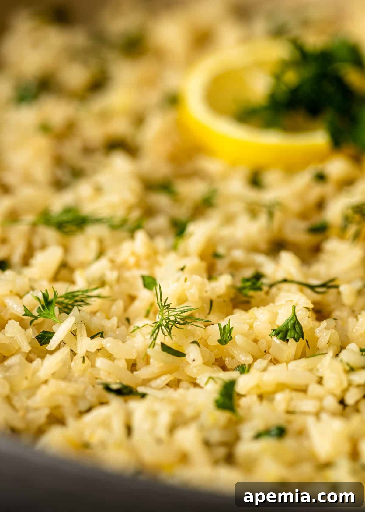 A vibrant side view close-up of beautifully plated Greek lemon rice, garnished with fresh herbs, highlighting its fluffy texture and inviting aroma.