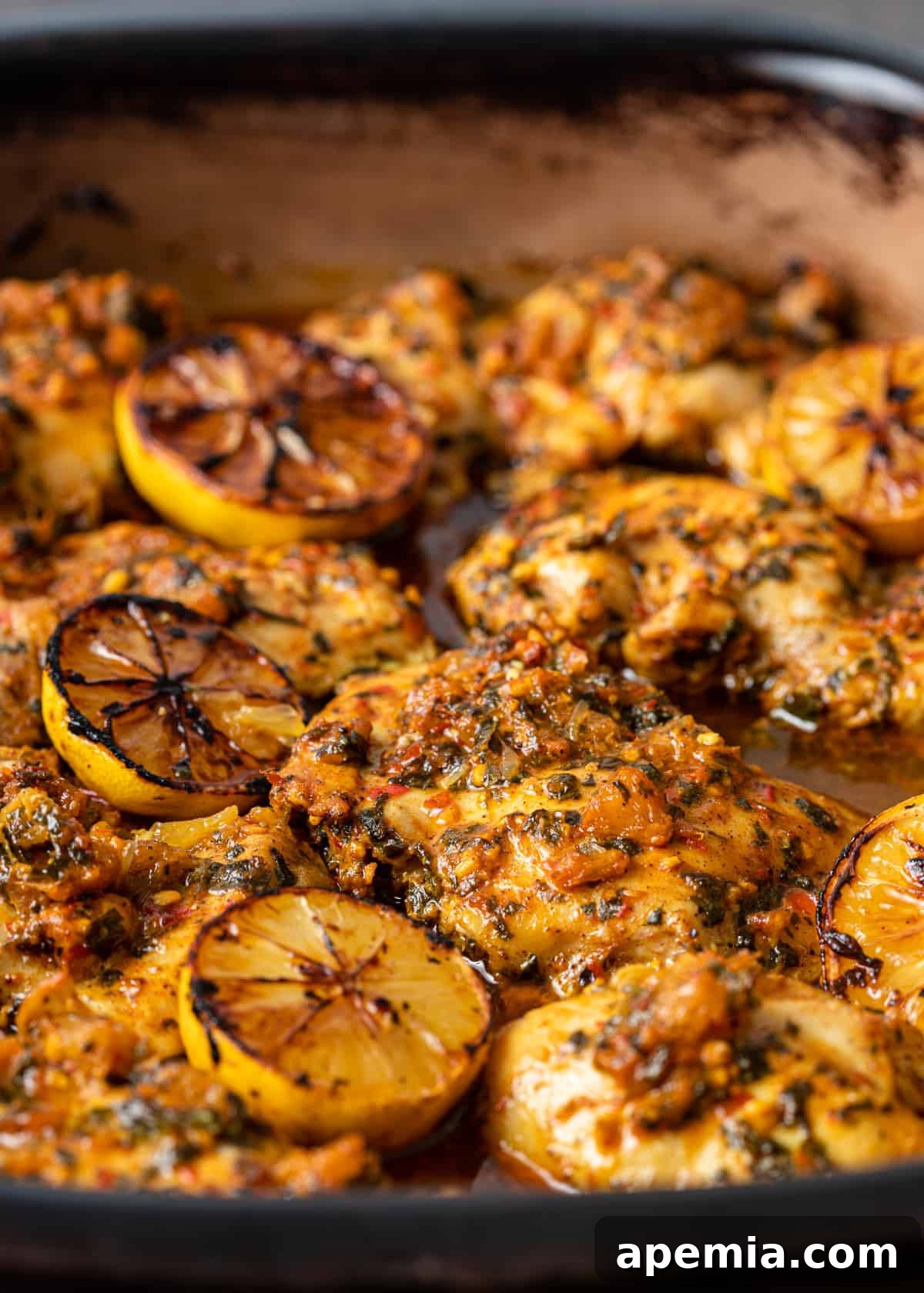 pan with Chermoula Chicken