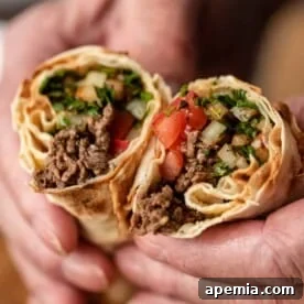 Tantuni Wraps Turkish Street Food
