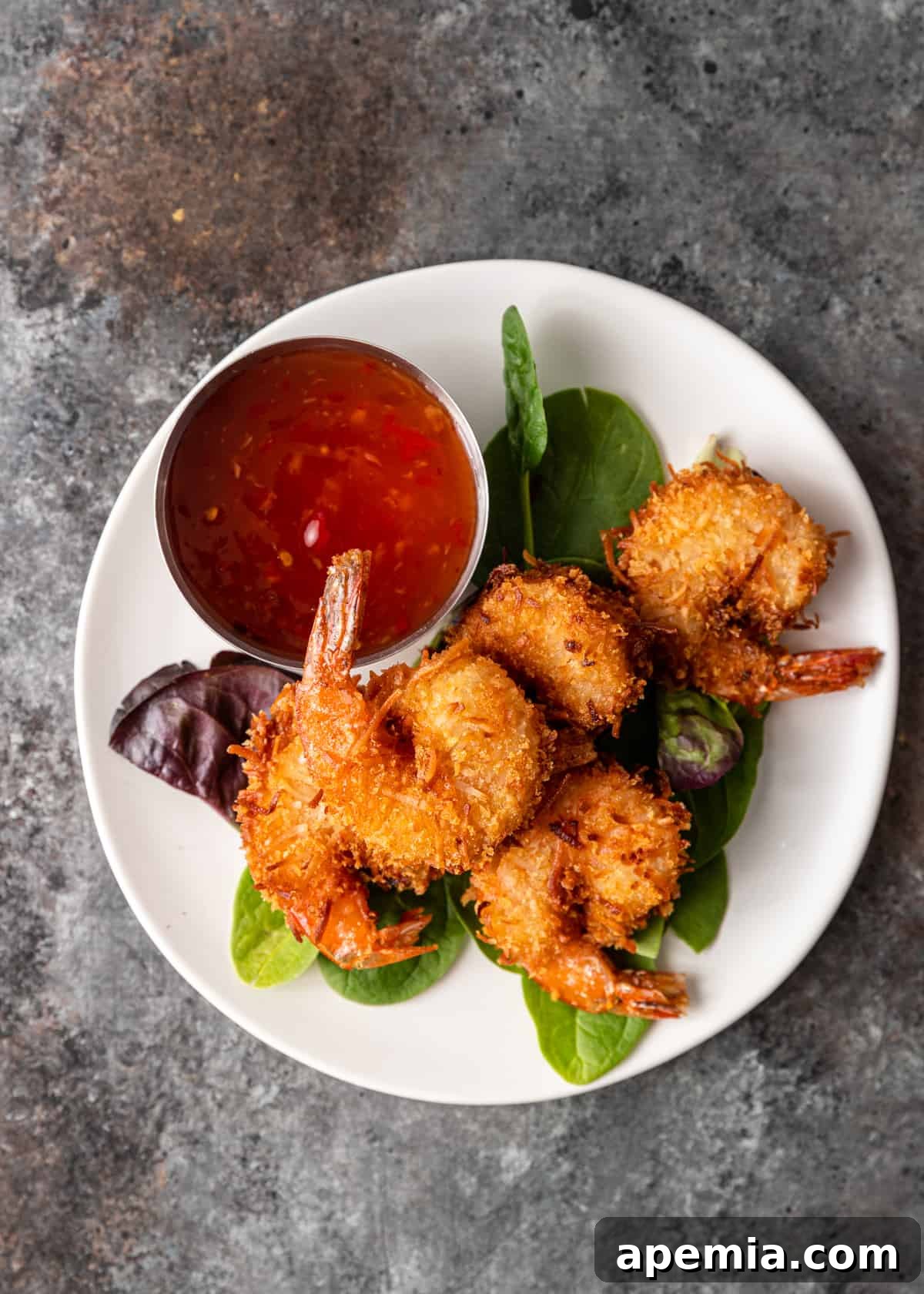 Sweet Coconut Crunch Shrimp 8 Overhead shot: a pristine white plate showcases perfectly fried crispy coconut shrimp alongside a small bowl of dipping sauce.