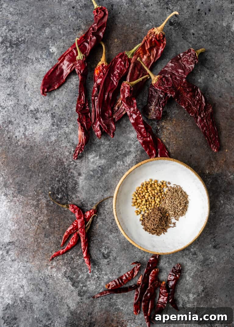 A selection of dried chiles and whole spices laid out on a plate, ready for toasting.