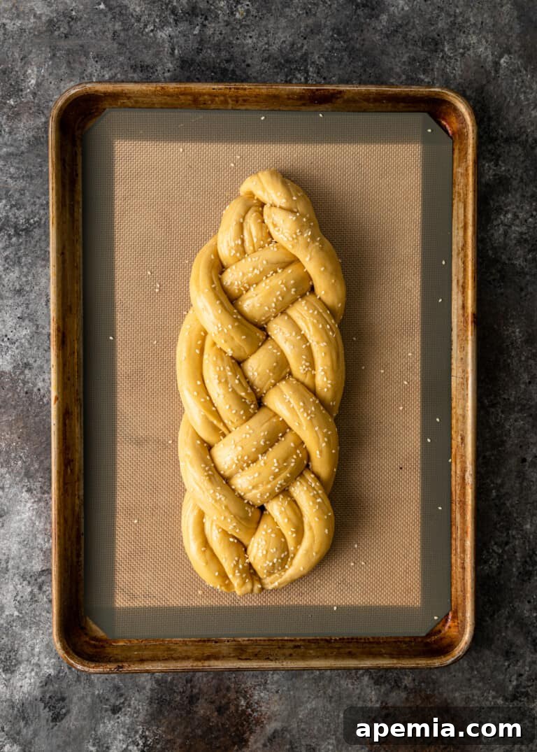 Process shot: Braided Challah loaf, already brushed with egg wash and sprinkled with sesame seeds, before its final rise.