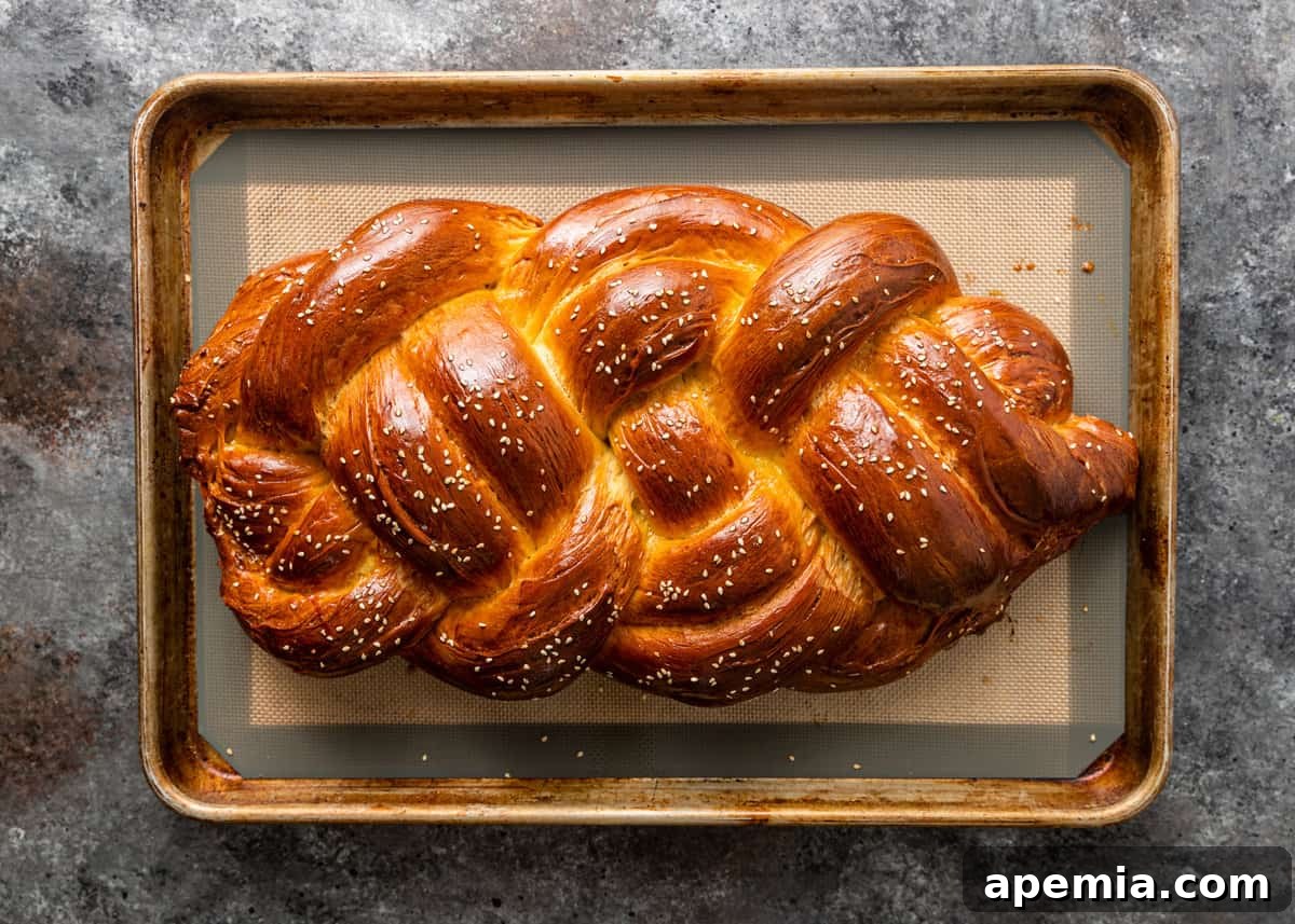 Overhead view of a freshly baked, golden-brown Challah bread on a sheet pan, cooling on a table.